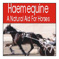 Haemequine