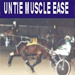 Untie Muscle Ease